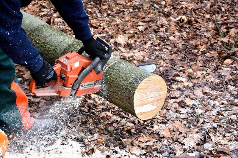 The Best Chainsaws on the Market